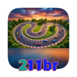 211br